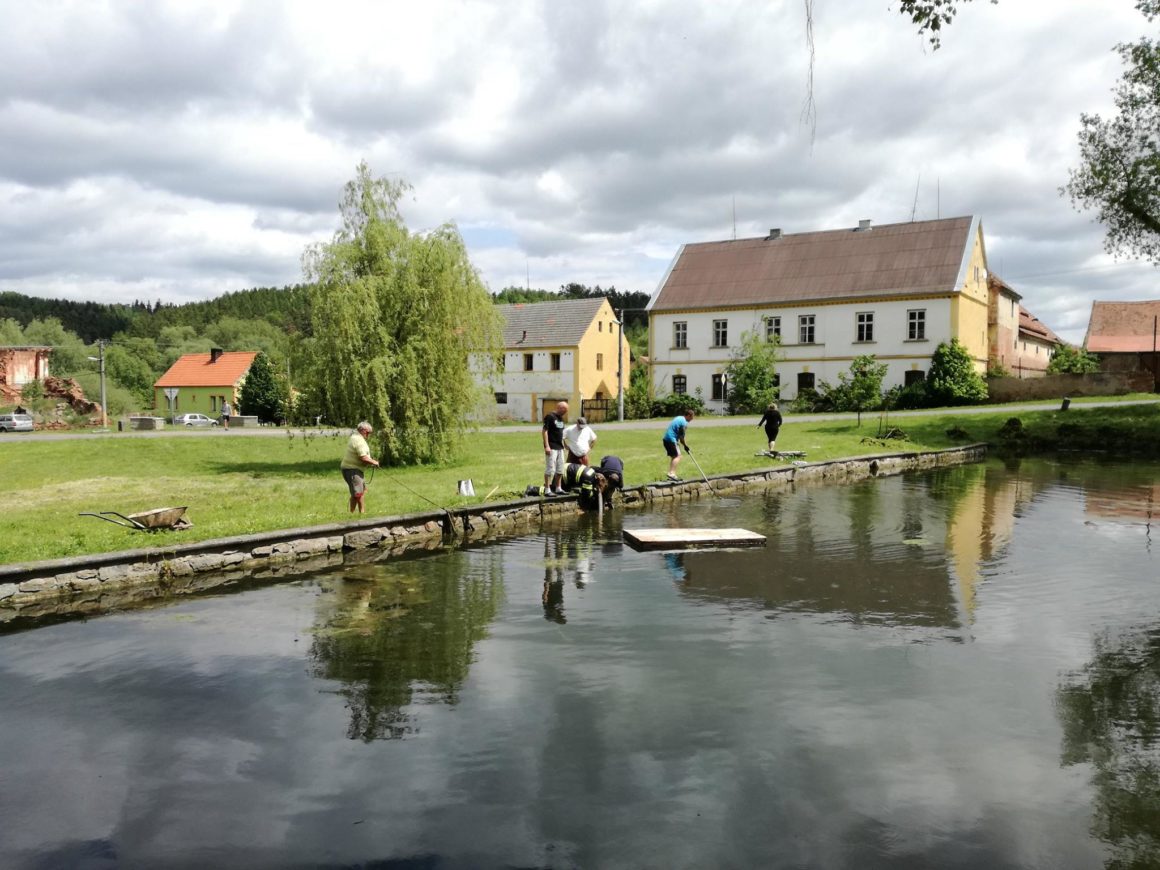 Úprava vody a odplevelení rybníka