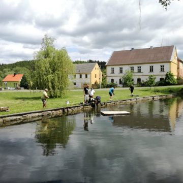 Úprava vody a odplevelení rybníka