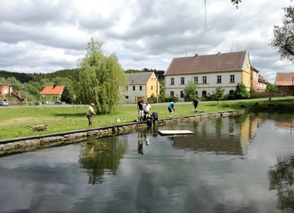 Úprava vody a odplevelení rybníka